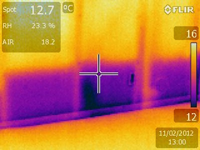 Mold growth example
